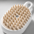 Steam Brush 2.0™