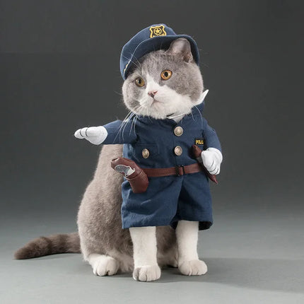 Roliga kattdräkter