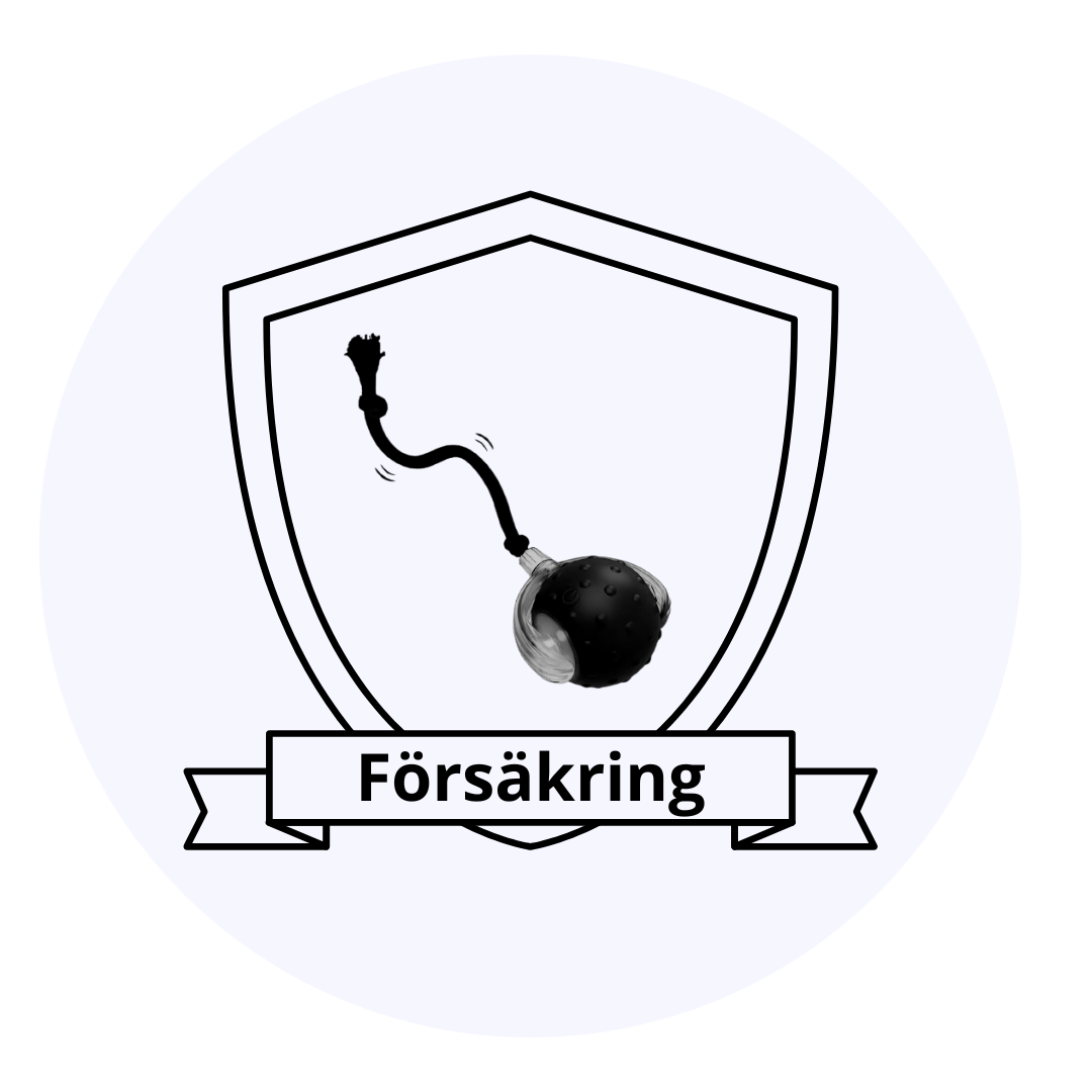 2-års Försäkring