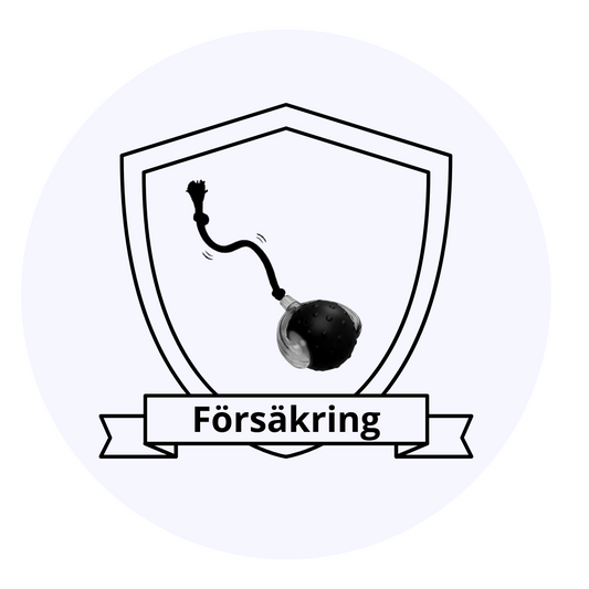 2-års Försäkring