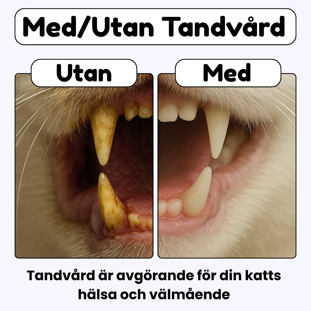 HappyTeeth - Tandrengörings-leksak med kattmynta och silvervine (4-pack)