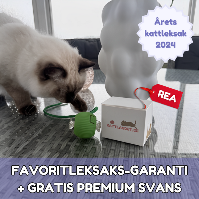 SmartHunt™ – Smart, självgående och blev årets kattleksak 2024