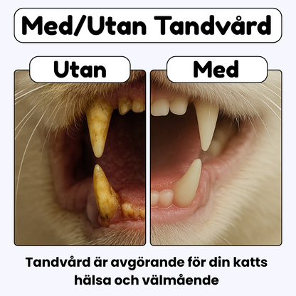 HappyTeeth™ - Rengör tänderna på sekunder med rolig lek (4-pack)