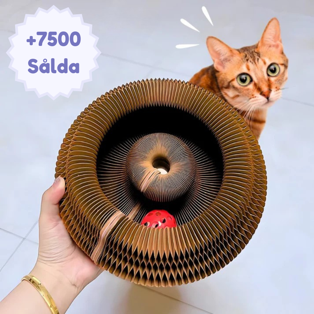 KittyRing - Interaktiv kattleksak med bollbana, klösbräda och formskiftning