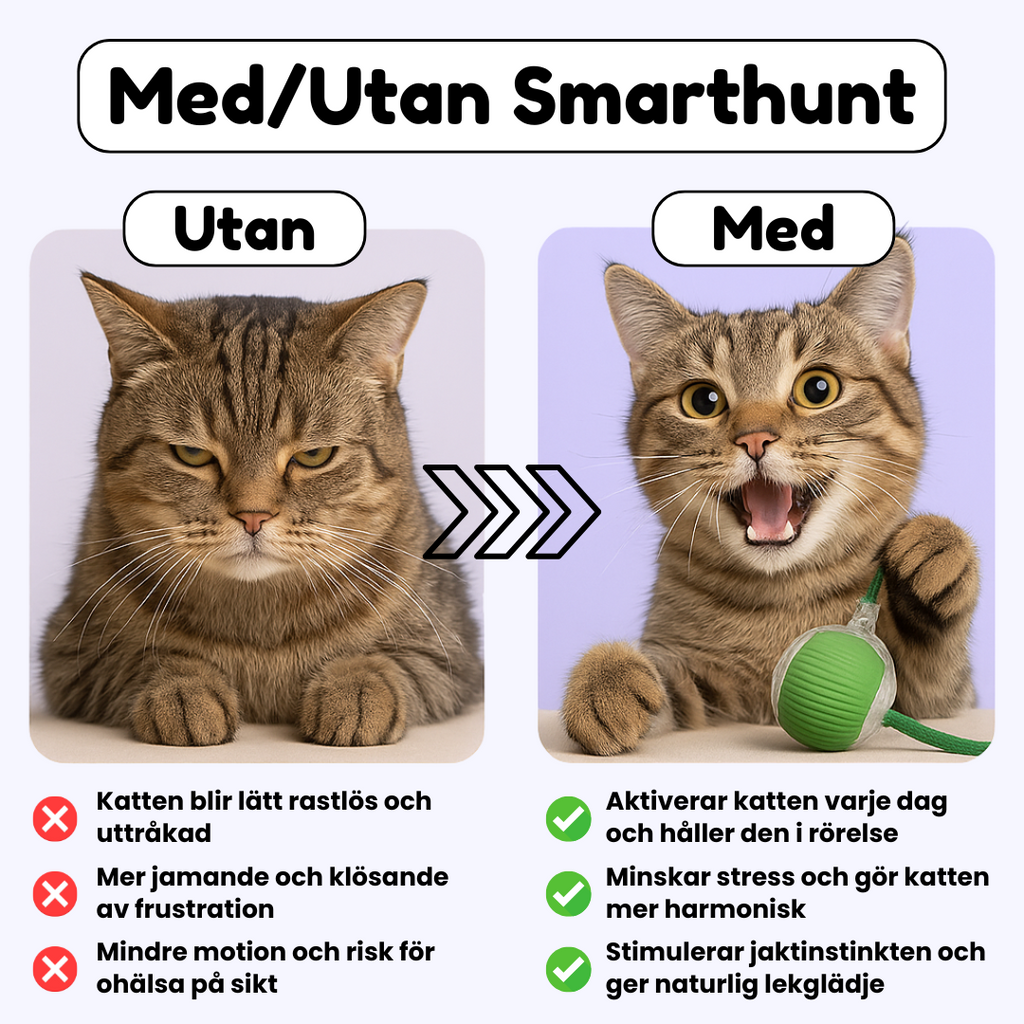 SmartHunt™ – Självgående kattleksaken som katten kan starta själv