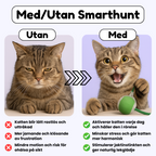 SmartHunt™ – Självgående kattleksaken som katten kan starta själv