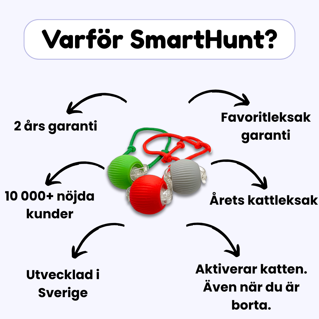 SmartHunt – Självgående kattleksaken som katten kan starta själv
