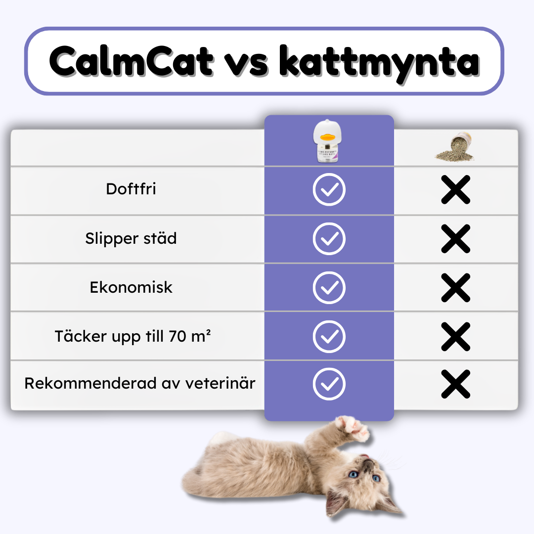 CalmCat