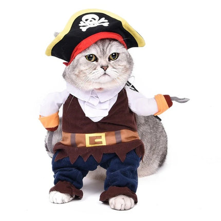 Roliga kattdräkter