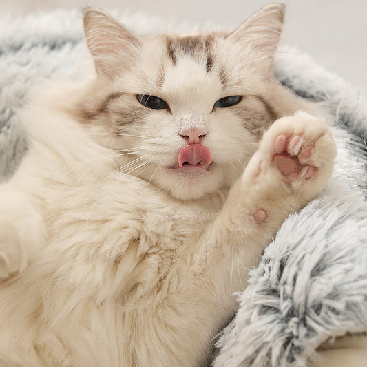 CatNap - Kattsäng som lindrar stress och ångest