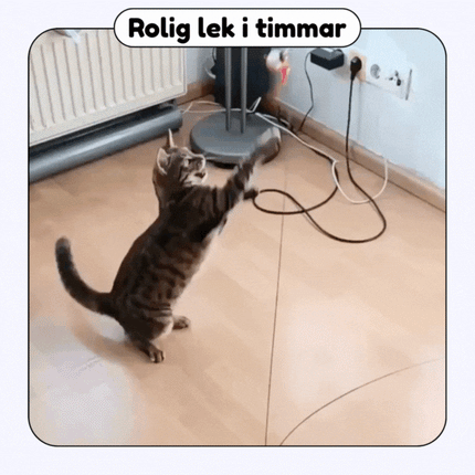 Swiftie - Får din katt att känna sig som en jägare igen