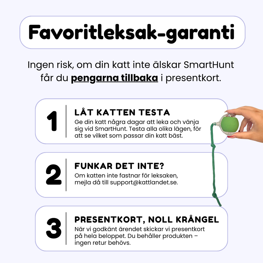 SmartHunt – Självgående kattleksaken som katten kan starta själv