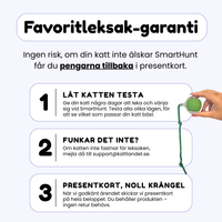 SmartHunt – Smart, självgående och blev årets kattleksak 2024