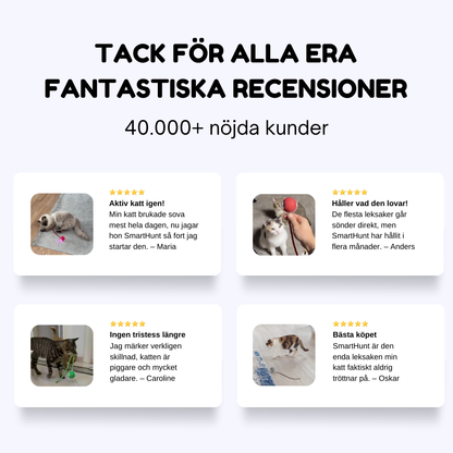 SmartHunt – Självgående kattleksaken som katten kan starta själv