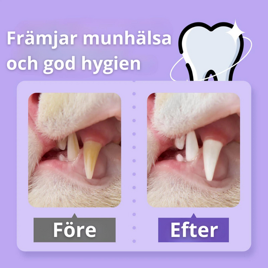 Smilegood - Håll din katts tänder rena säkert utan tandborstning