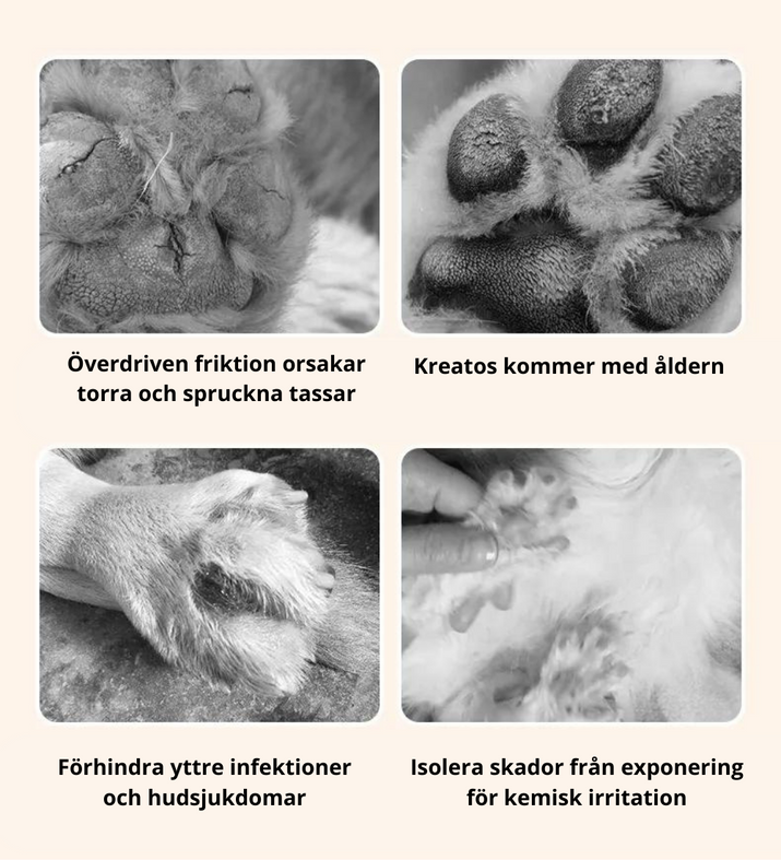 Paw Balm - Återfuktande tass-salva