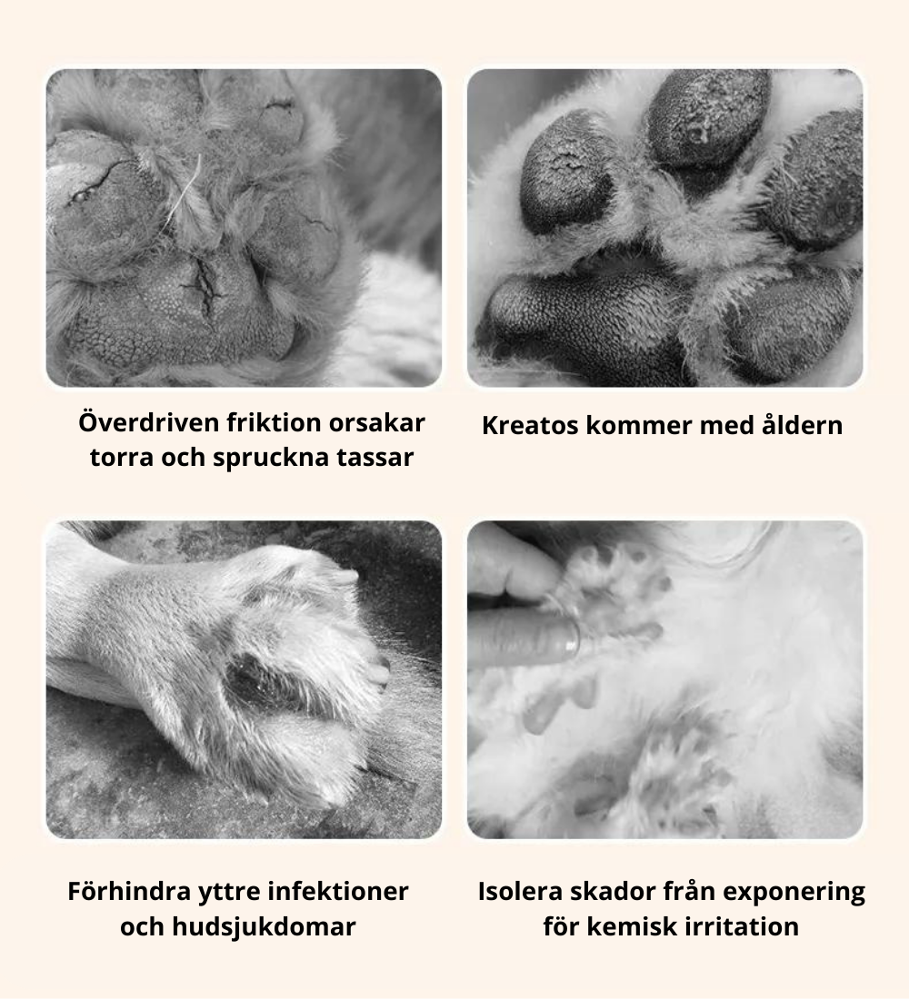 Paw Balm - Återfuktande tass-salva