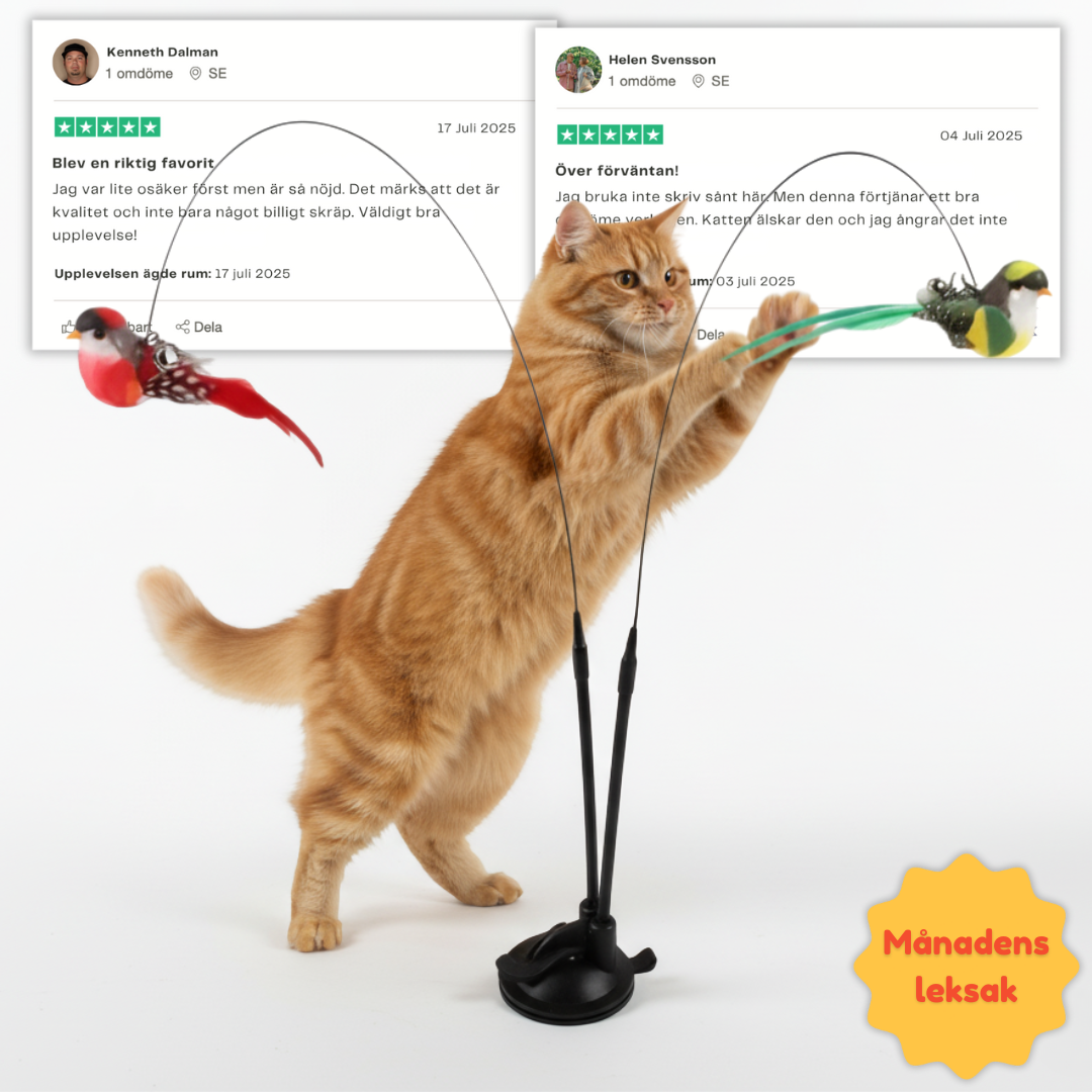 Swiftie™ - Får din katt att känna sig som en jägare igen