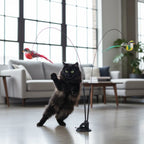 Swiftie™ - Får din katt att känna sig som en jägare igen