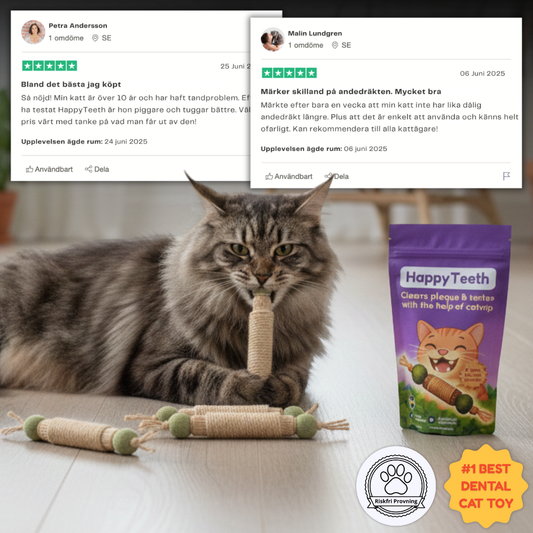 HappyTeeth - Tandrengörings-leksak med kattmynta och silvervine (4-pack)