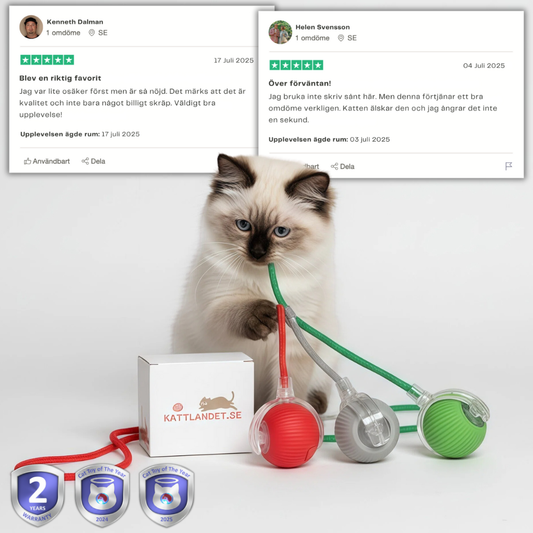 SmartHunt™ – Smart, självgående och blev årets kattleksak 2024