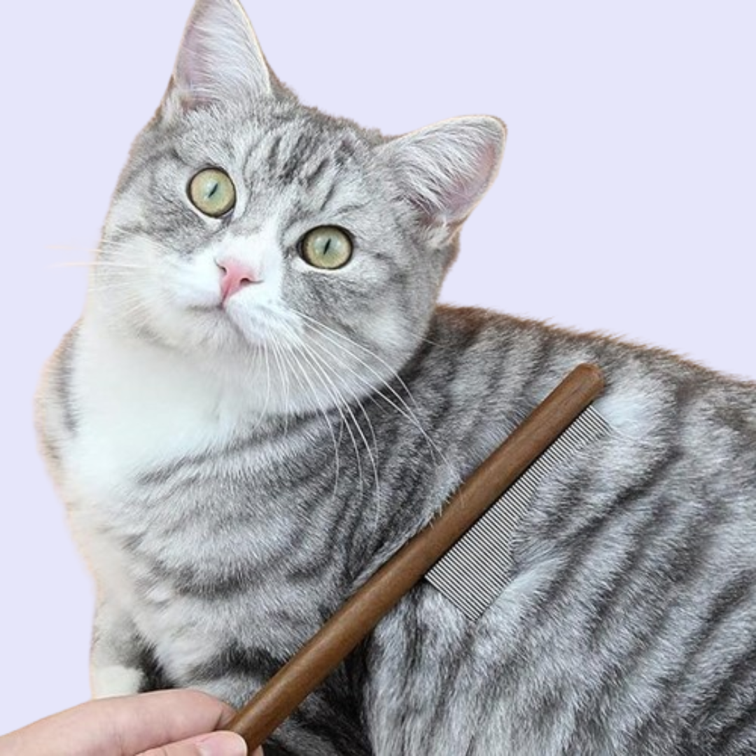 Happycomb - Skonsam kam som frigör smuts