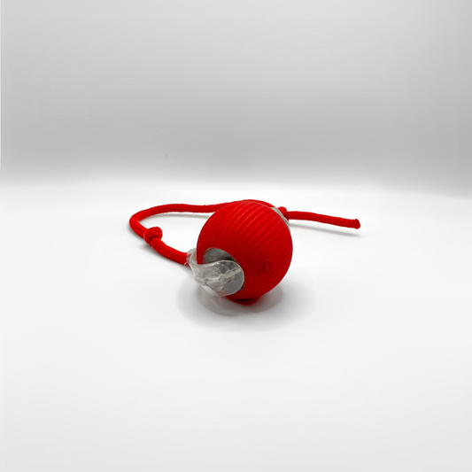 SmartHunt™ – Självgående kattleksaken som katten kan starta själv