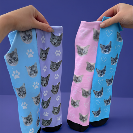 KittySocks