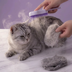 Steam Brush 2.0