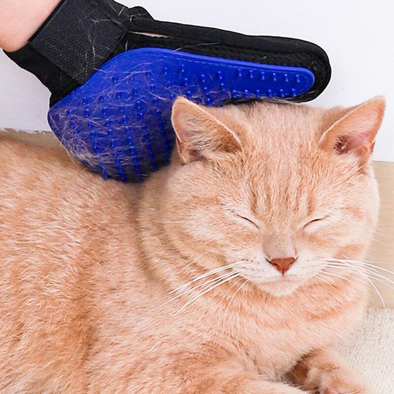 GLOVEBRUSH - Borsthandske (2st)
