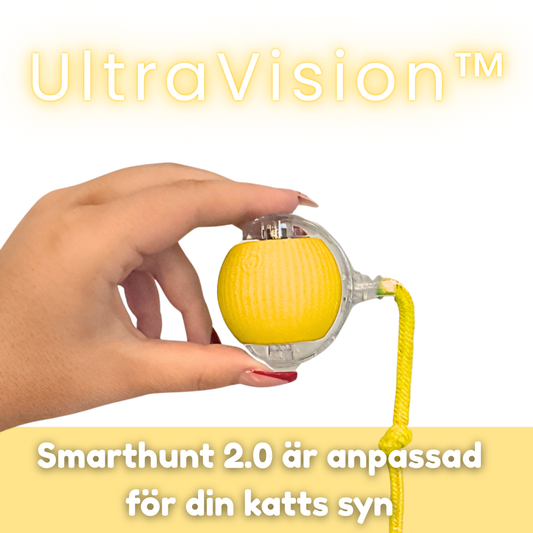 Smarthunt 2.0 - Uppgraderad version av förra årets mest sålda kattleksak