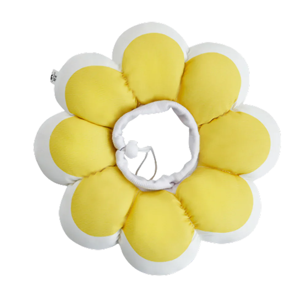 Flowerheal - Mjuk tratt för läkning