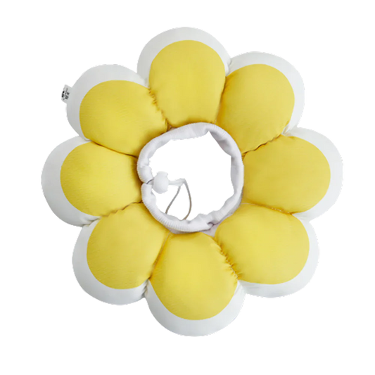 Flowerheal - Mjuk tratt för läkning