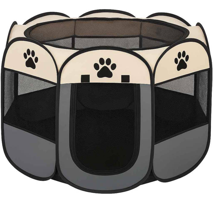 CatCamp™