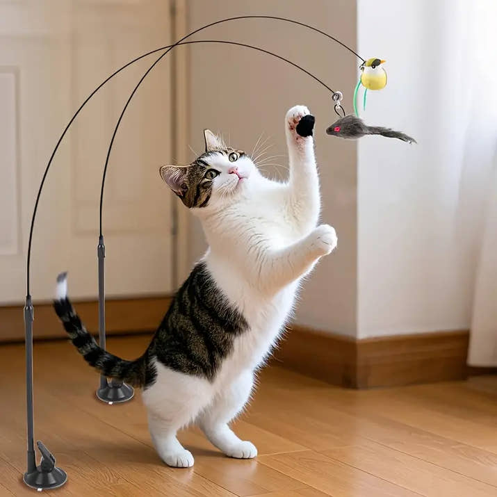 Swiftie™ - Får din katt att känna sig som en jägare igen