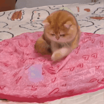 Motion Ball Carpet - Göm Motion Ball inuti