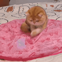 Motion Ball Carpet - Göm Motion Ball inuti