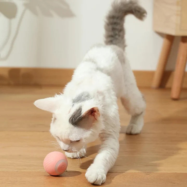 Happyball™ - Håller din katt underhållen när du inte är hemma