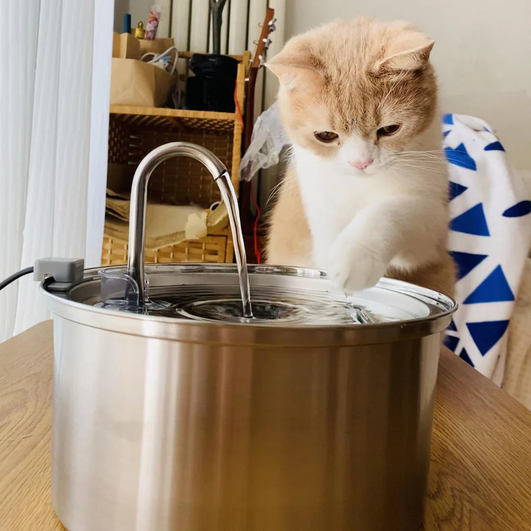 Aquadrink - Marknadens bästa katt vattenfontän