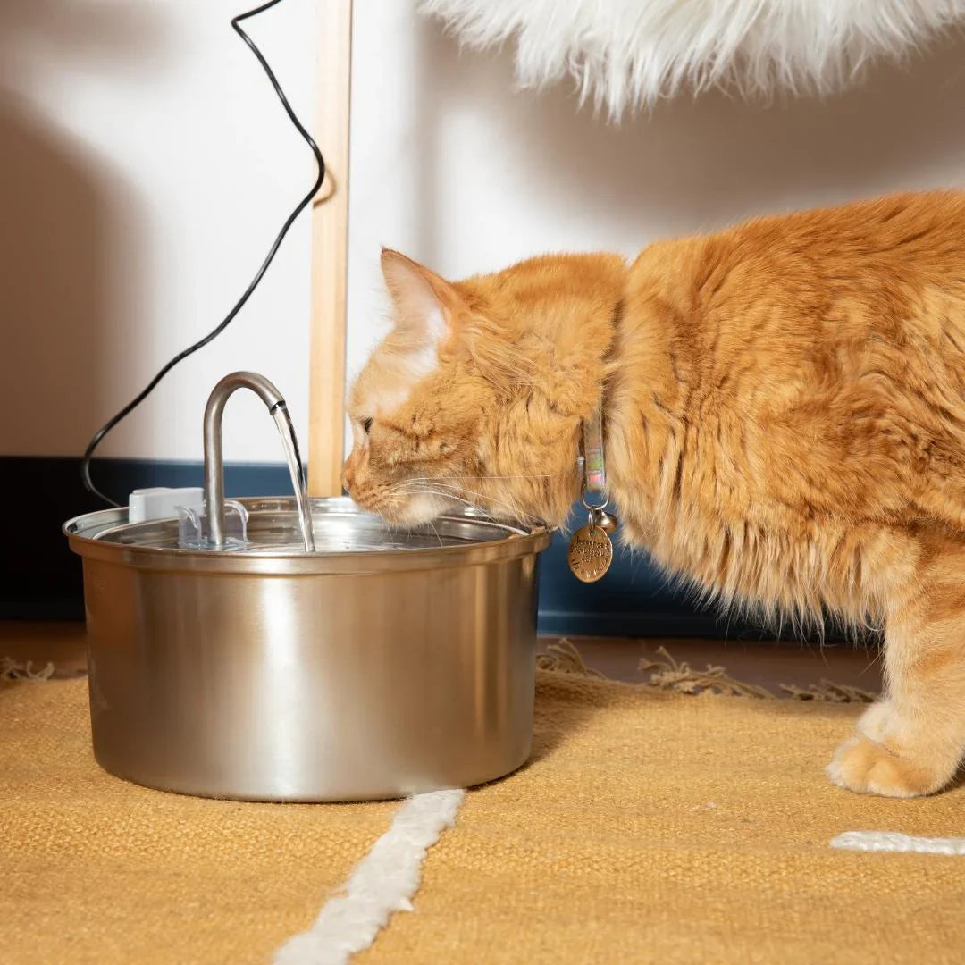 Aquadrink - Marknadens bästa katt vattenfontän