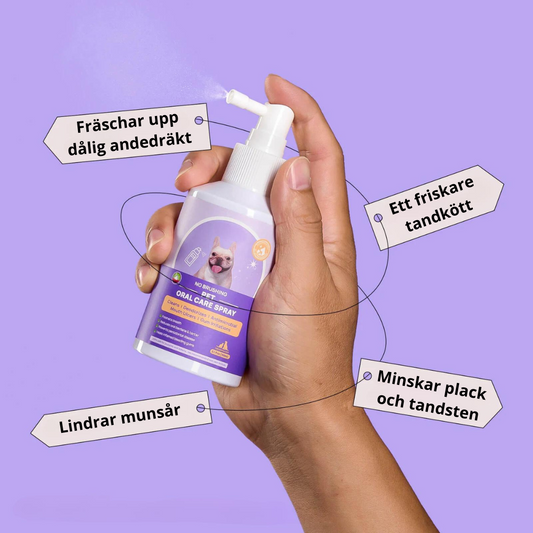 Smilegood - Håll din katts tänder rena säkert utan tandborstning