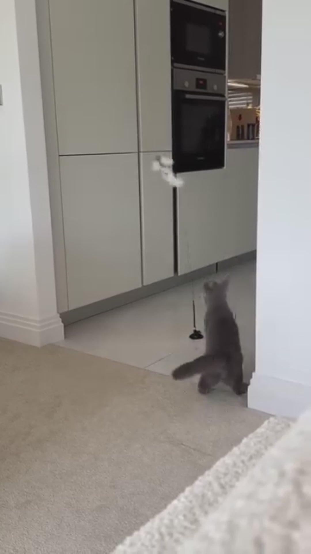 Swiftie™ - Får din katt att känna sig som en jägare igen video