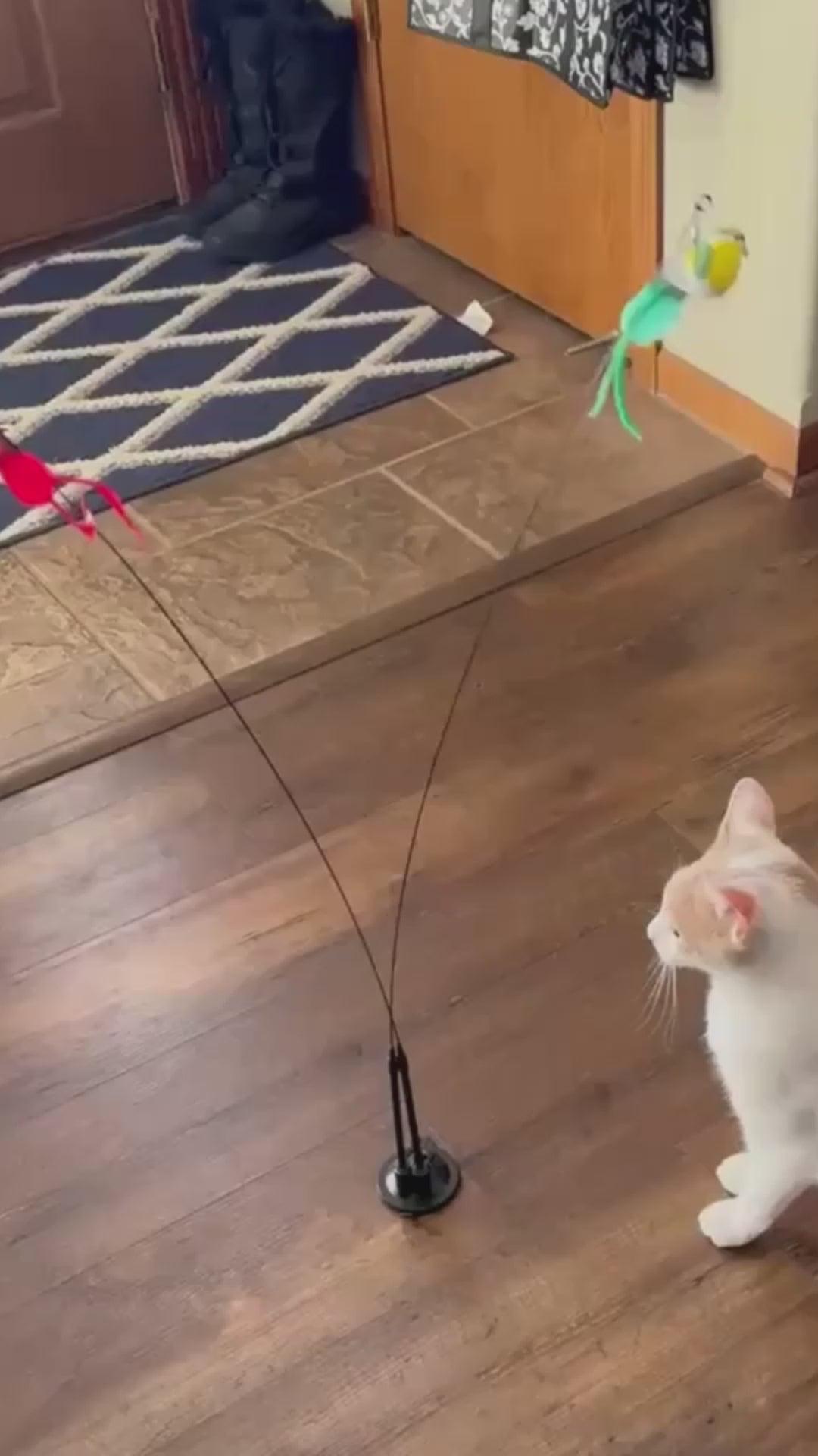 Swiftie™ - Får din katt att känna sig som en jägare igen video