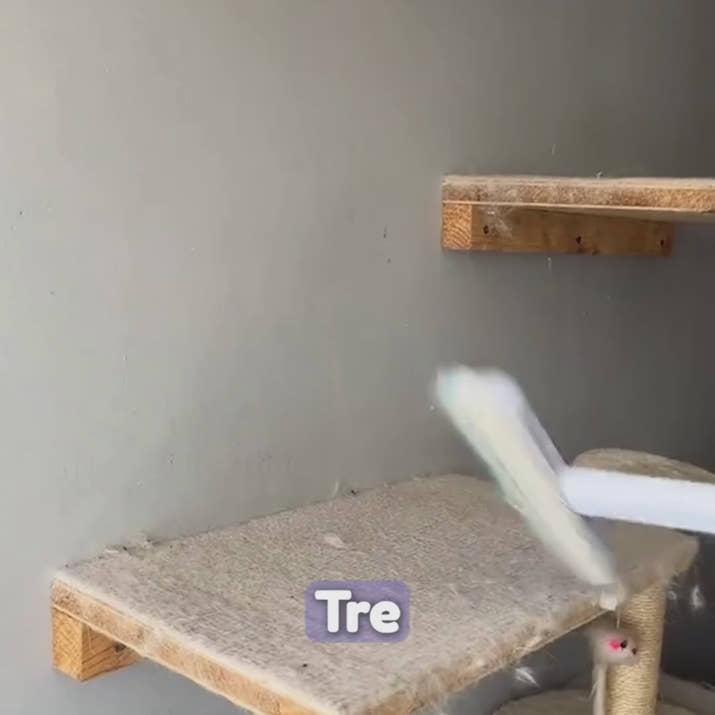 PawClean™ - Pälsbortagningen blev enklare än någonsin