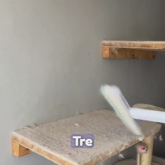 PawClean™ - Pälsbortagningen blev enklare än någonsin