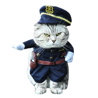 Roliga kattdräkter