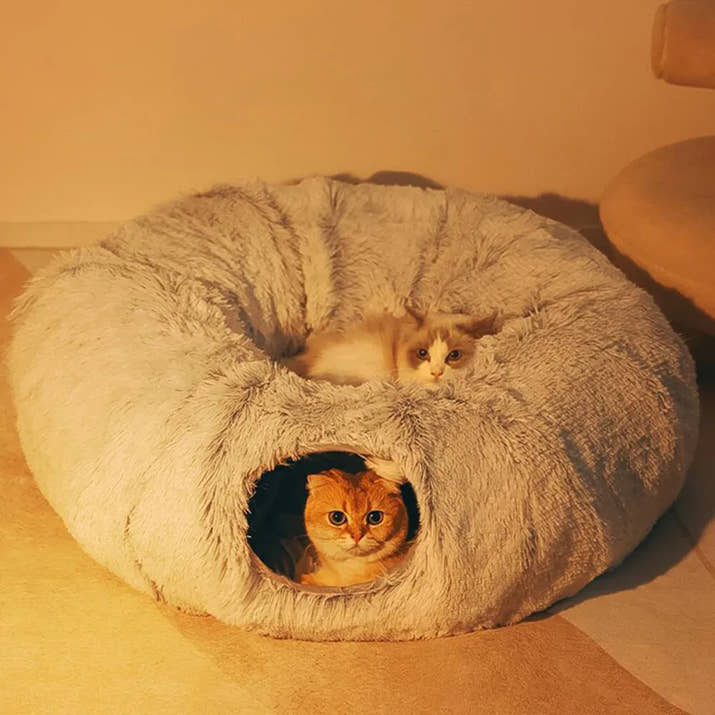 CloudBed - Den perfekta kattsängen