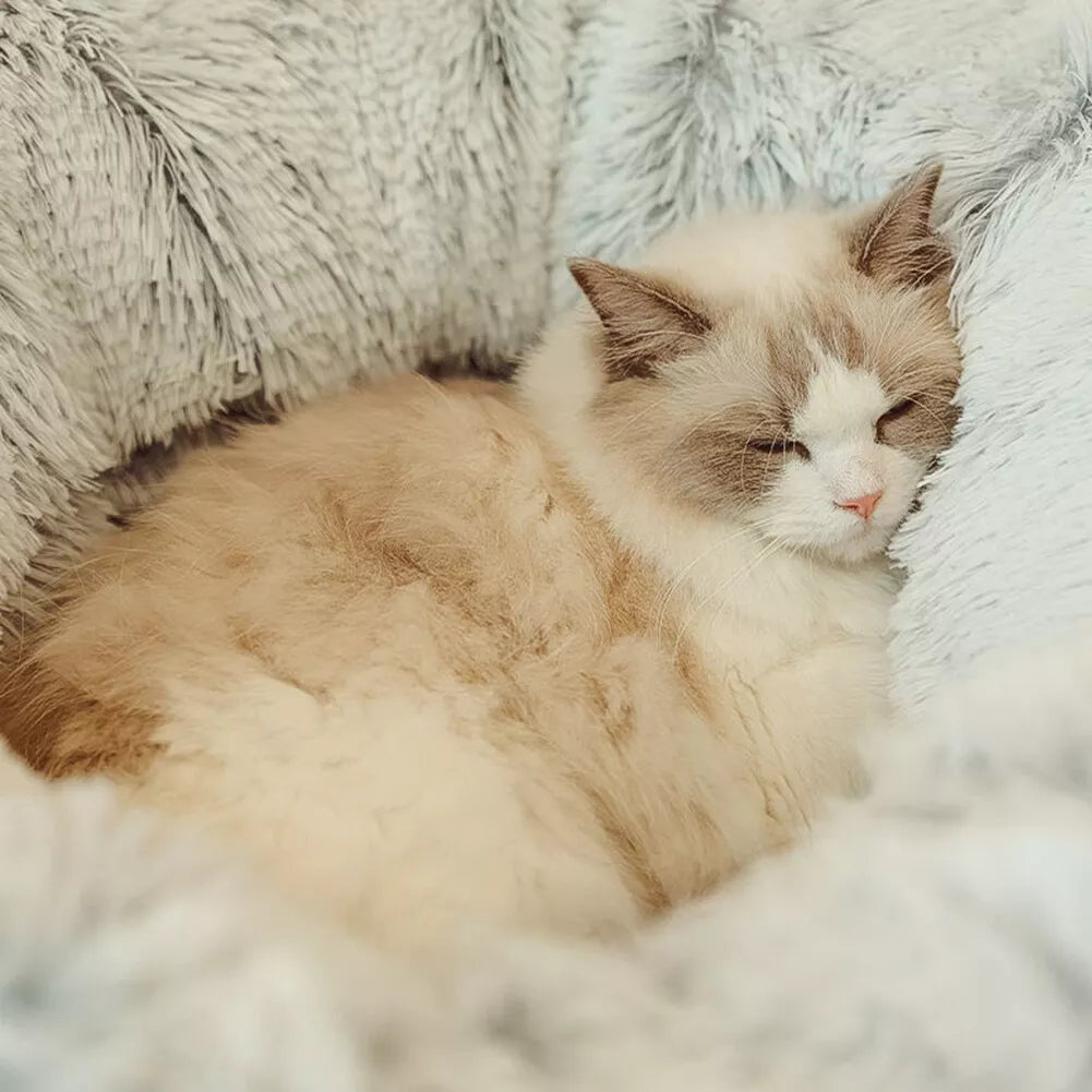 CloudBed - Den perfekta kattsängen