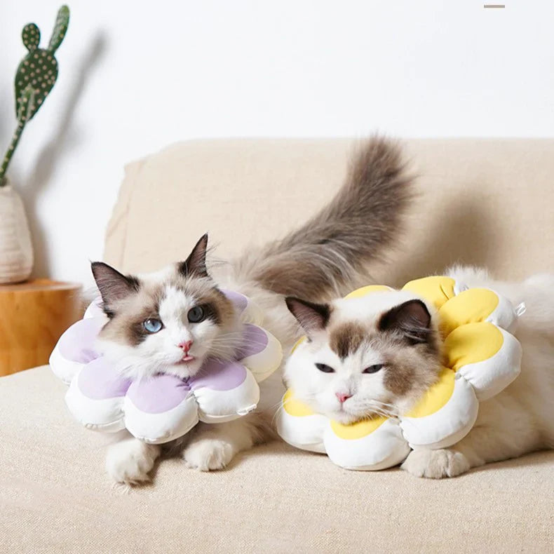 Flowerheal - Mjuk tratt för läkning