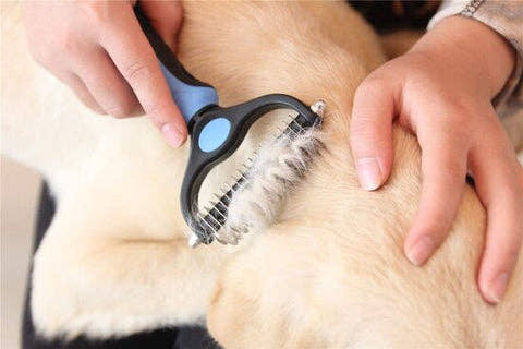 POWERBRUSH - Pälsborste till grovjobbet